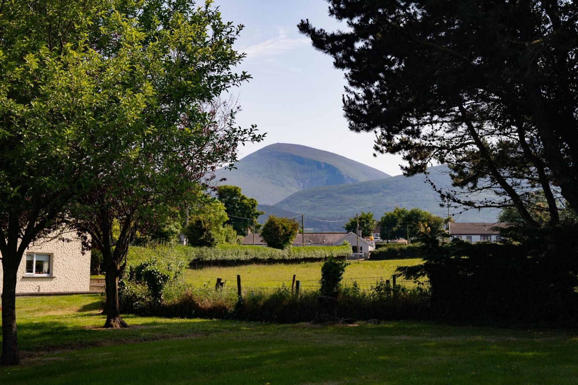 The Briers Country House Newcastle  Bagian luar foto